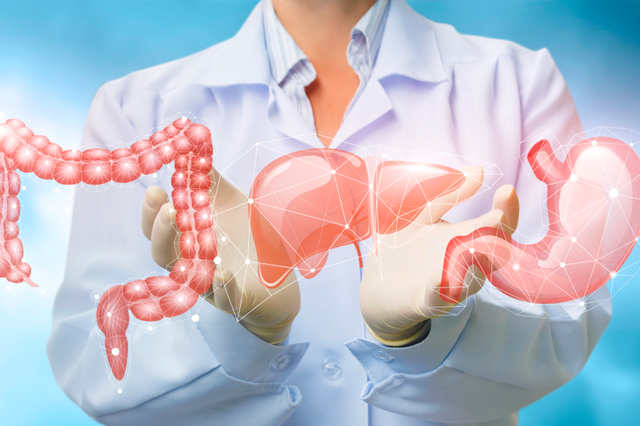 Dr Paulo Ramalho - Cirurgia do aparelho digestivo